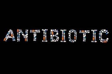 Antibiotic-Use-in-Pets Antibiotic-Use-in-Pets