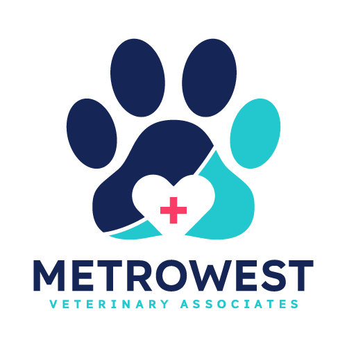 Metrowest Veterinary Associates